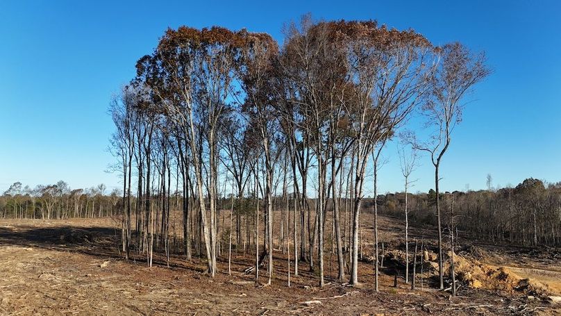 dji_fly_20251114_083700_0999_1763127633698_photo