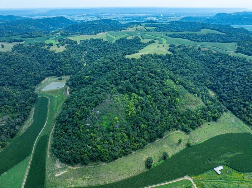 New Albin 8_8 edits-57