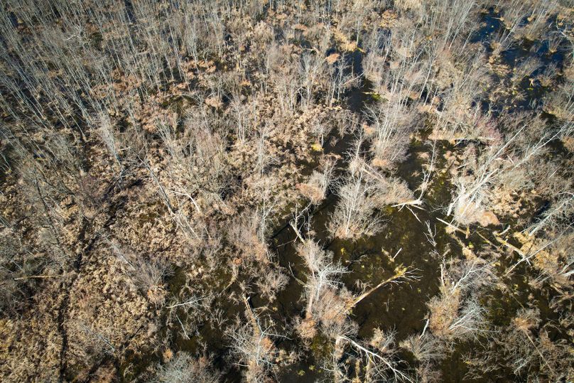 Oswego_165.52_Lashomb_Photos_17