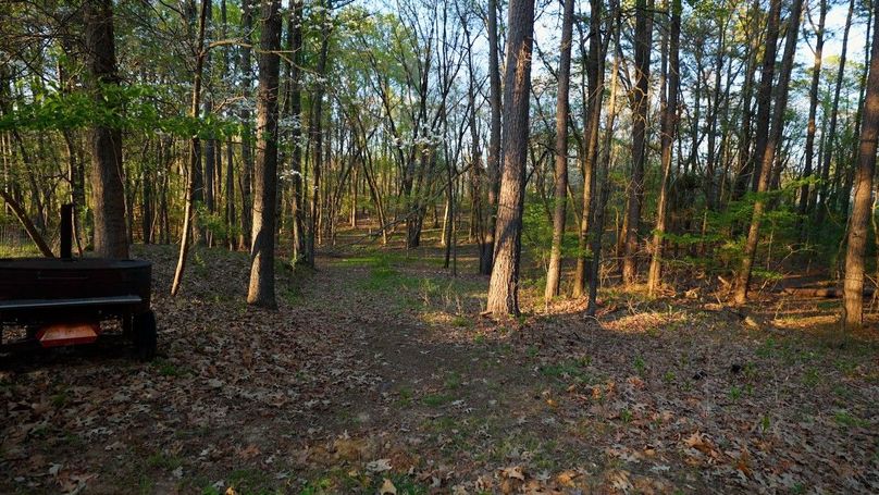 WILLIAMSON, IL 65.00_02_34_13.Still021