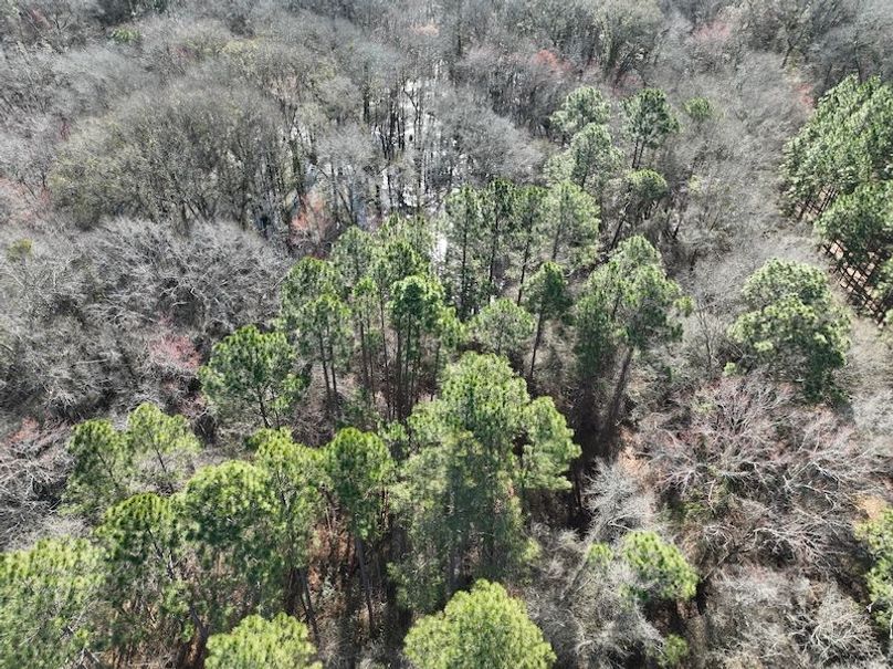 dji_fly_20240207_103232_30_1707320836772_photo