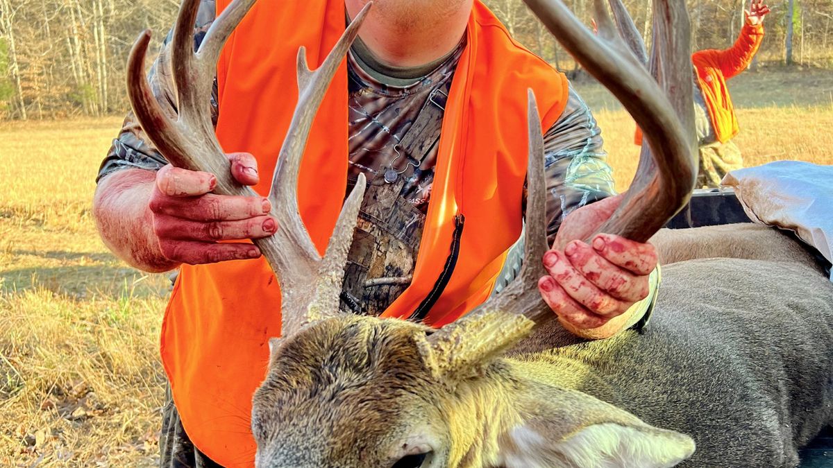 Diverse Hunting Tract In Trophy Whitetail Area Whitetail Properties