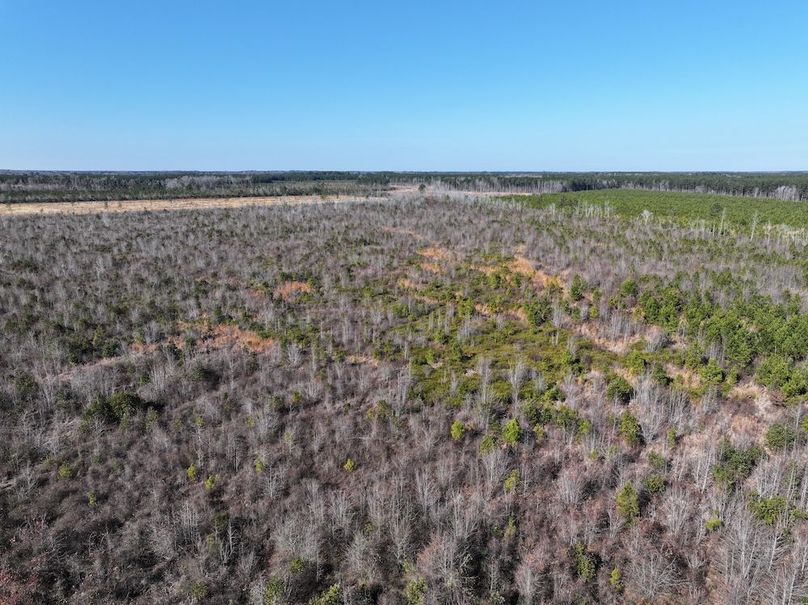 dji_fly_20251223_124338_0157_1767546829005_photo