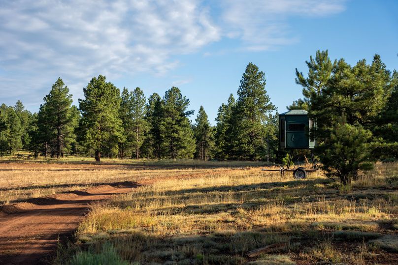 Cibola NM 13,053--129