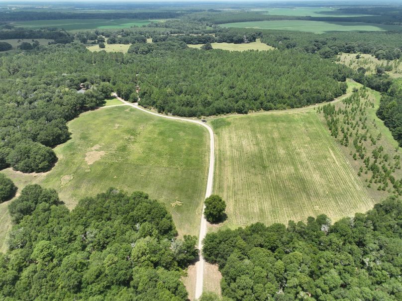 dji_fly_20230731_133402_462_1690845644241_photo