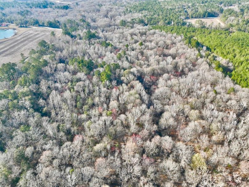 dji_fly_20250225_160936_457_1740517920158_photo