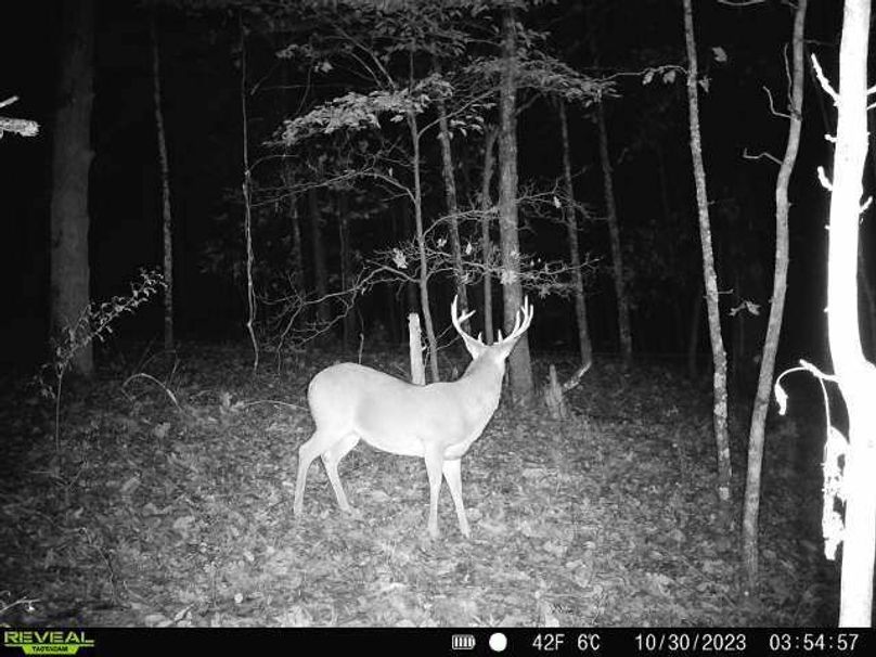 868032067719801-100-2-10302023035456-W1000830