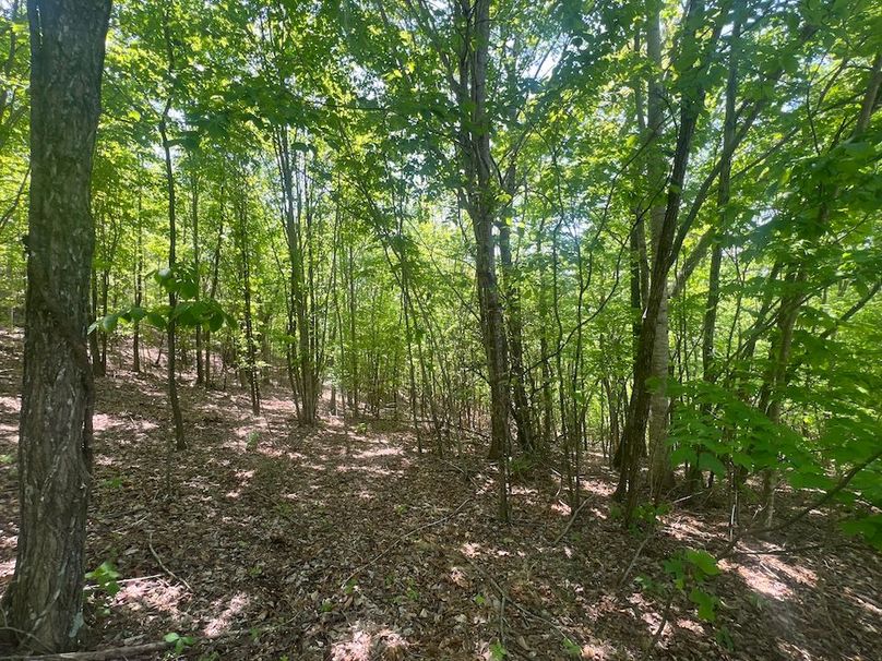 07 Buildable lot pic