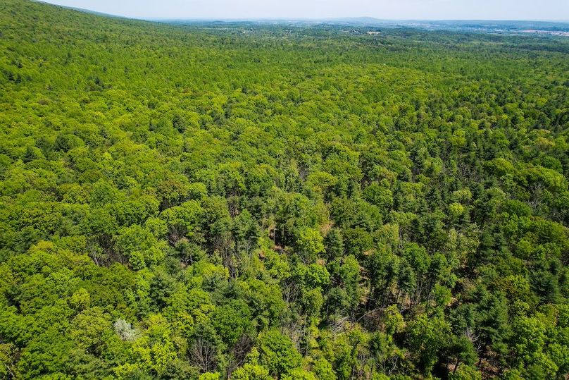 dji_fly_20250512_130722_982_1747069830918_photo