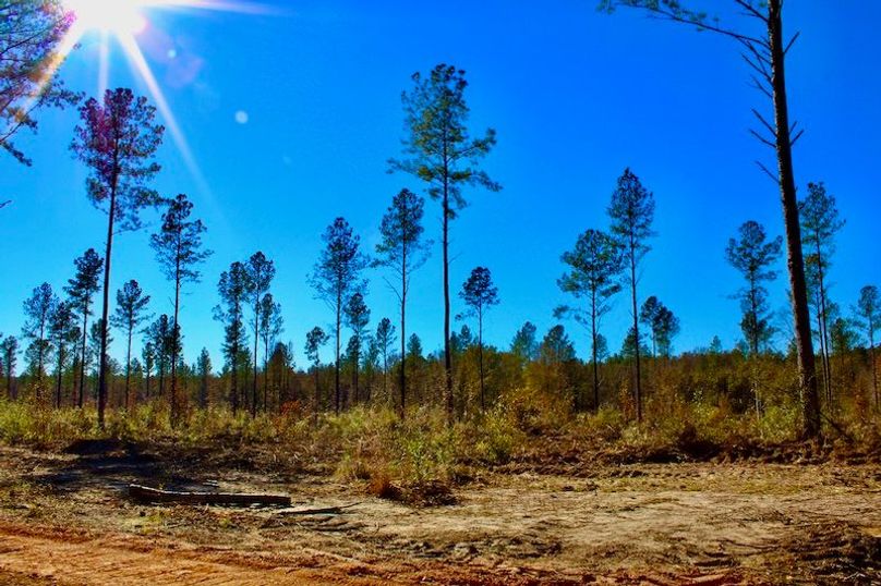 4974FF72-0F93-4653-B4A8-33C0224B98C4_1_201_a