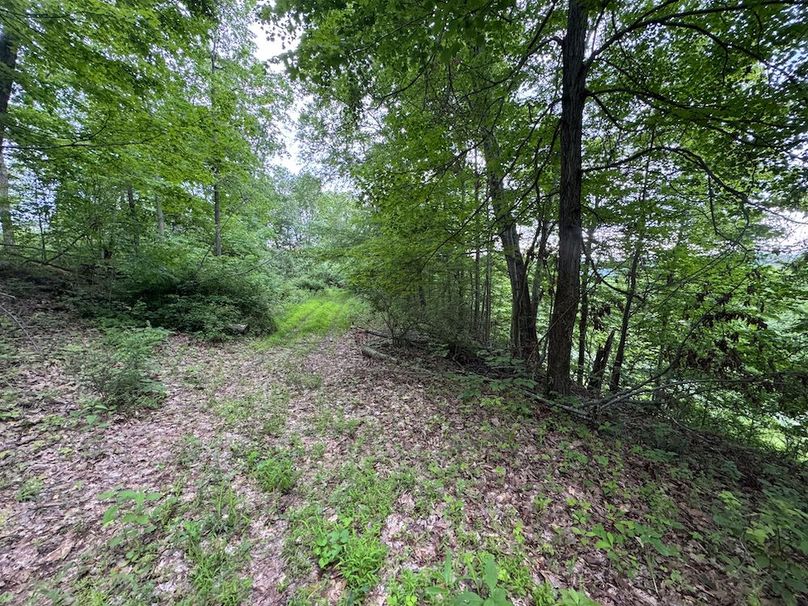 Tyler, WV 313.87 AC -56