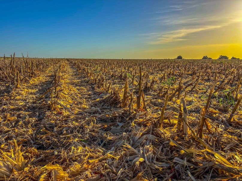 Bell 46.44 Pictures-32