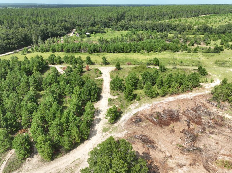 dji_fly_20230821_160208_585_1692648371064_photo