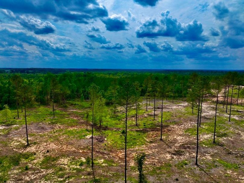 AA8051FA-6208-4B10-A549-218137612A79_1_105_c