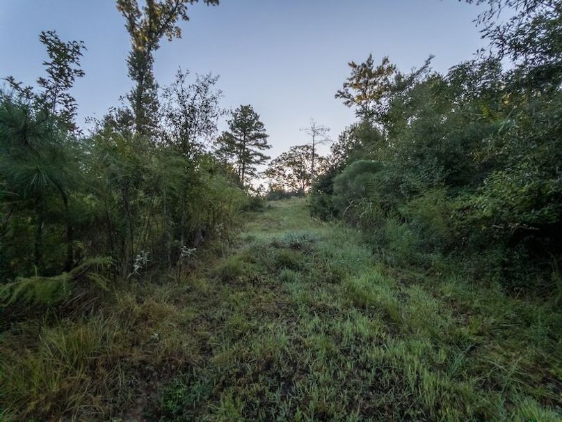 Hinds Co - 78 - Newman-36