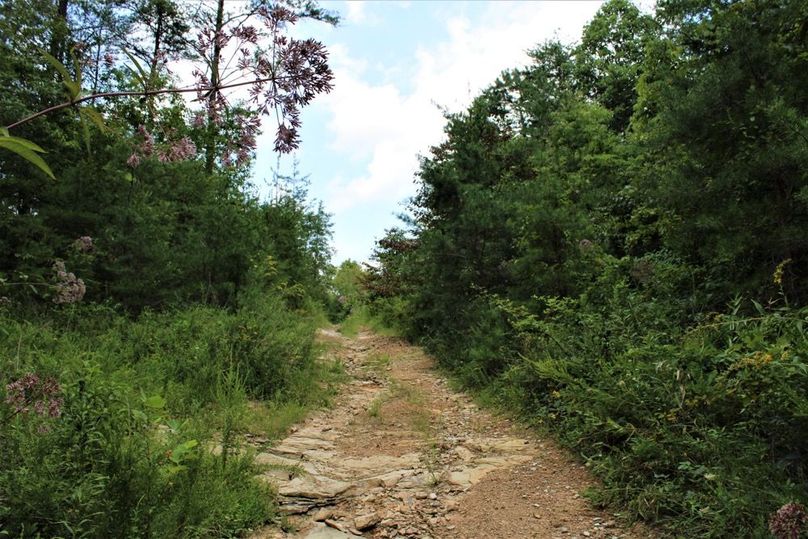 030 Little Rock Lick Road leading into the property