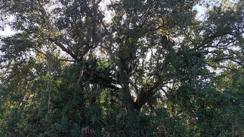 DJI_20251204113522_0056_D