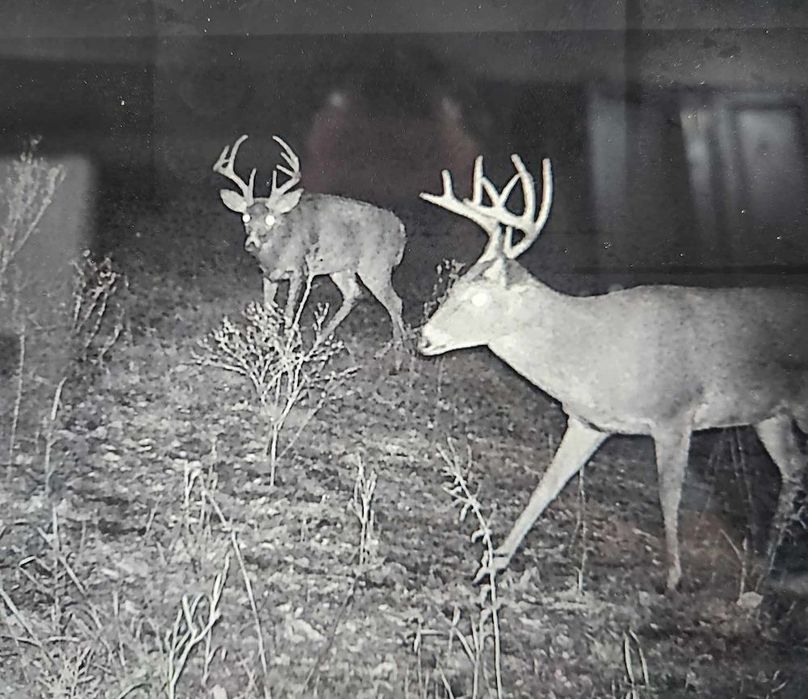 received_1149367586259372