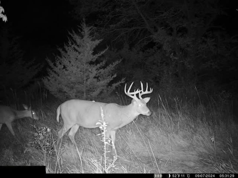 Trail Cam 1.2