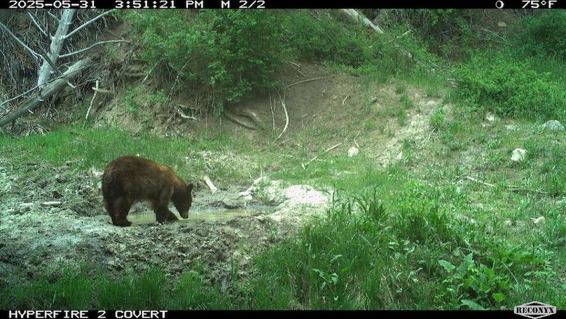 C9175D9C-4443-4DEF-8B65-B36D4344B9DB