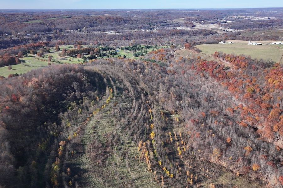 DJI_20241103140053_0338_D
