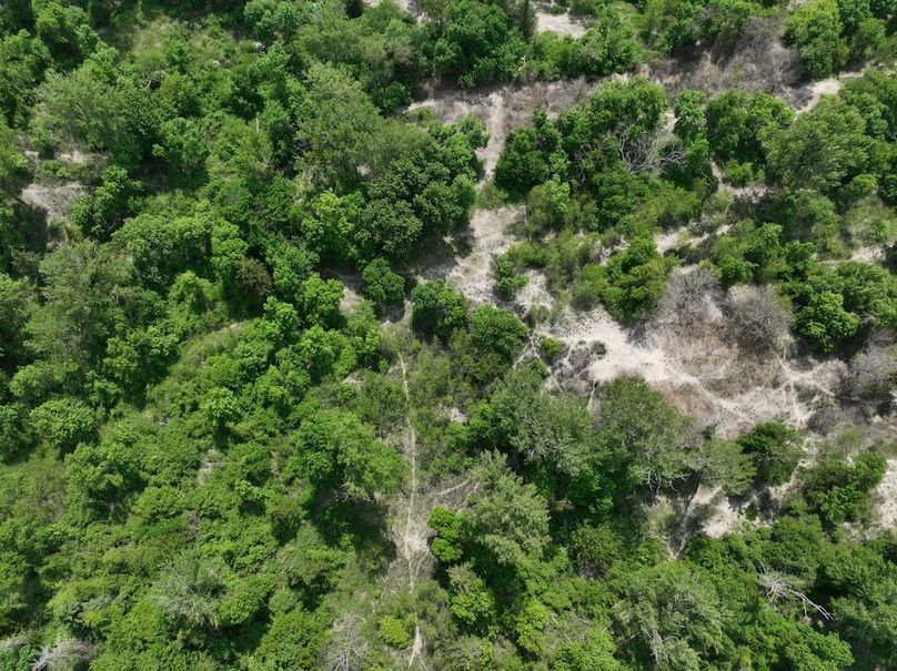 dji_fly_20260521_143806_440_1779909037687_photo