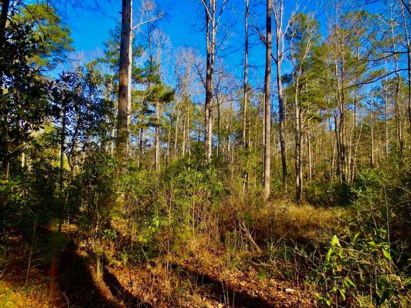 4041BCCB-BFDD-4FAC-9BFE-172756F3B2E1_1_105_c