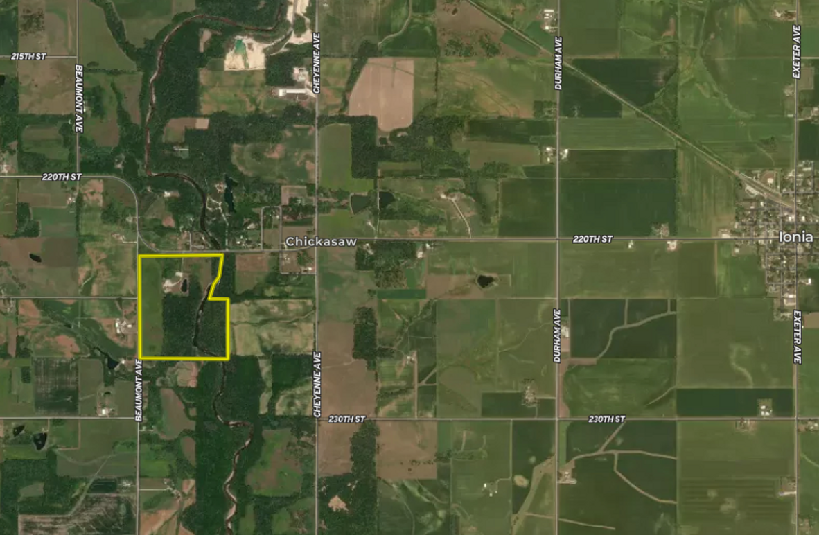 Screenshot 2025-03-17 at 3.13.46 PM