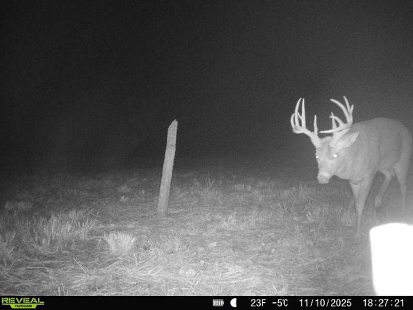 860322062100349-100-4-11102025182720-V-W1003471