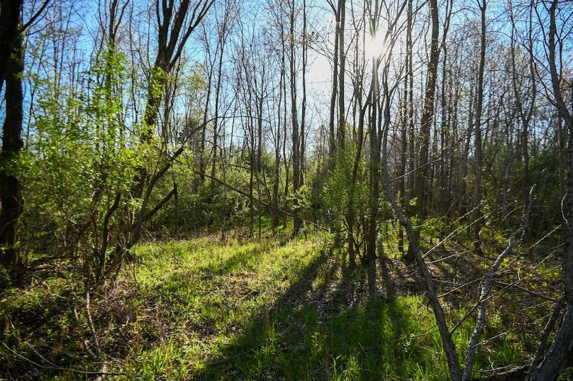 vandalia 450 (2)-2453