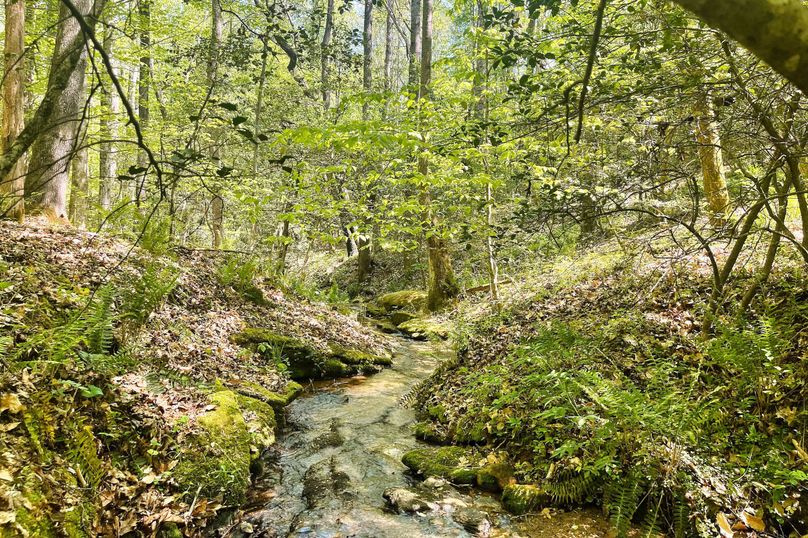 16 Creek 03