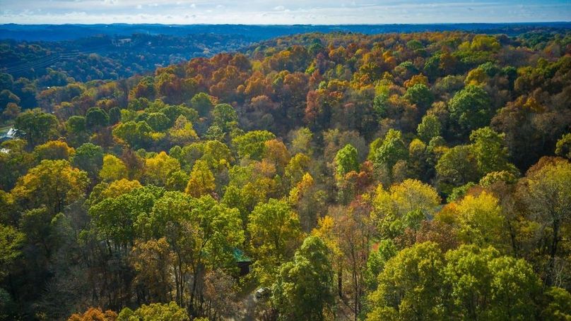 02-zj 31961 Township Rd 381002