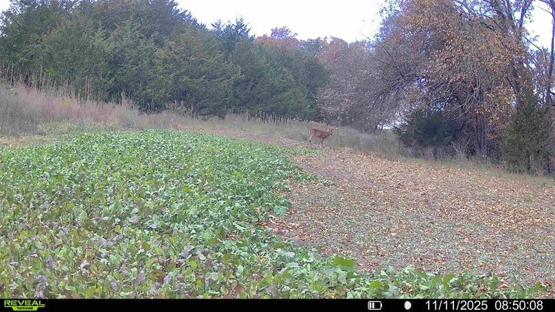 016578004266422-47-3-11112025092401-HD-SYFW01772