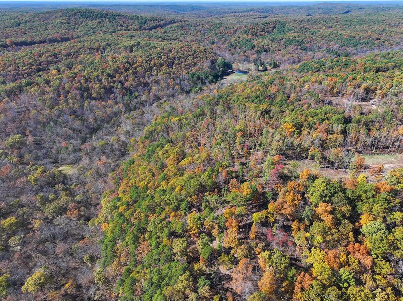 DJI_20251104130219_0836_D