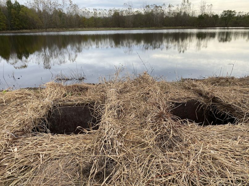 pics from late 2021 and early 2022. New plots being planted in Aug 2023 for new pics (30)