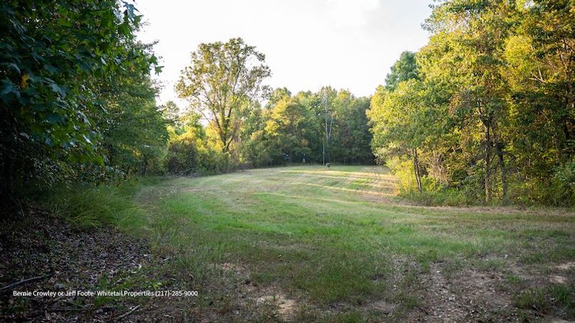 Tallahatchie 847 Messina-36