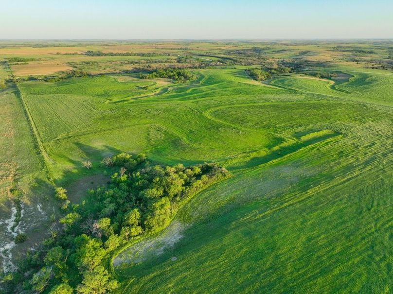 dji_fly_20250512_065138_113_1747051045657_photo