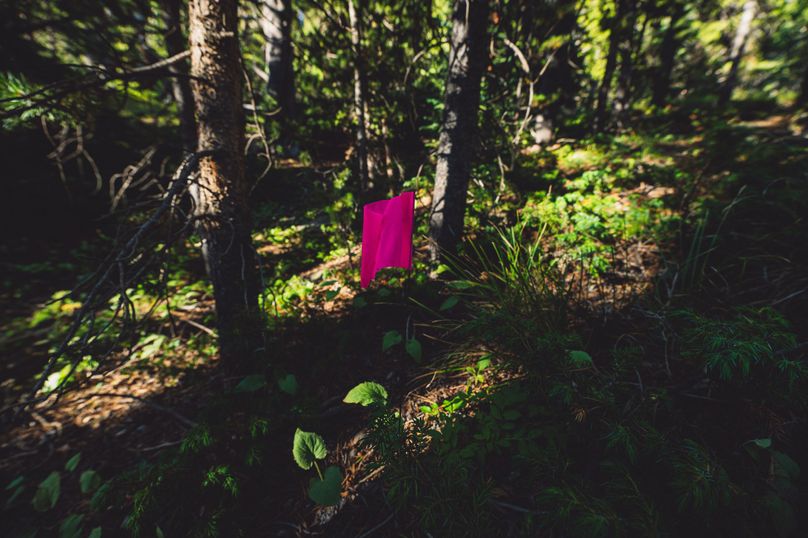 Lake CO 41.32 Nolan - 025 lower parcel marking flags