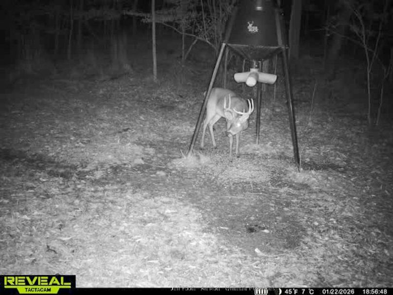 Holmes County - 108 - Rodriguez-66