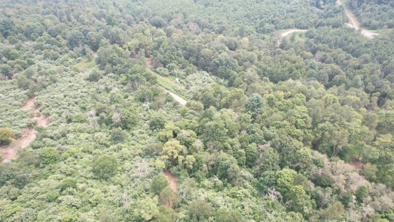 dji_fly_20250806_130006_560_1754499829741_photo