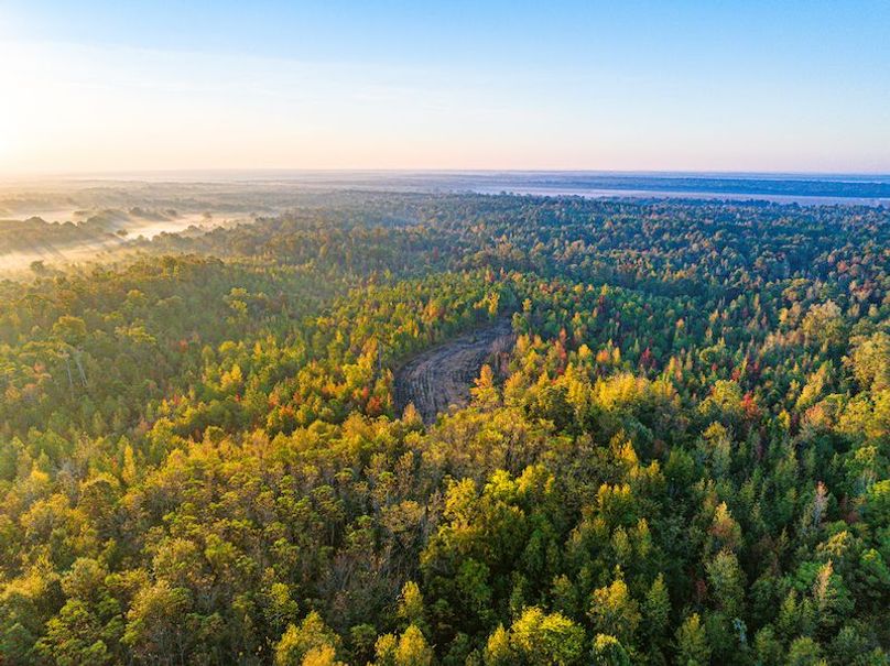 Clay 302.7 Henderson-62