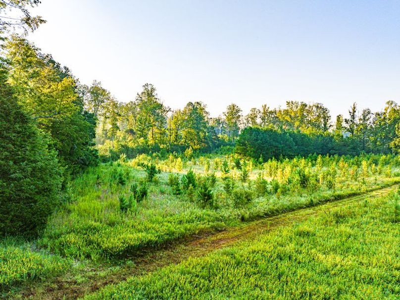 Itawamba 400 Moore-16