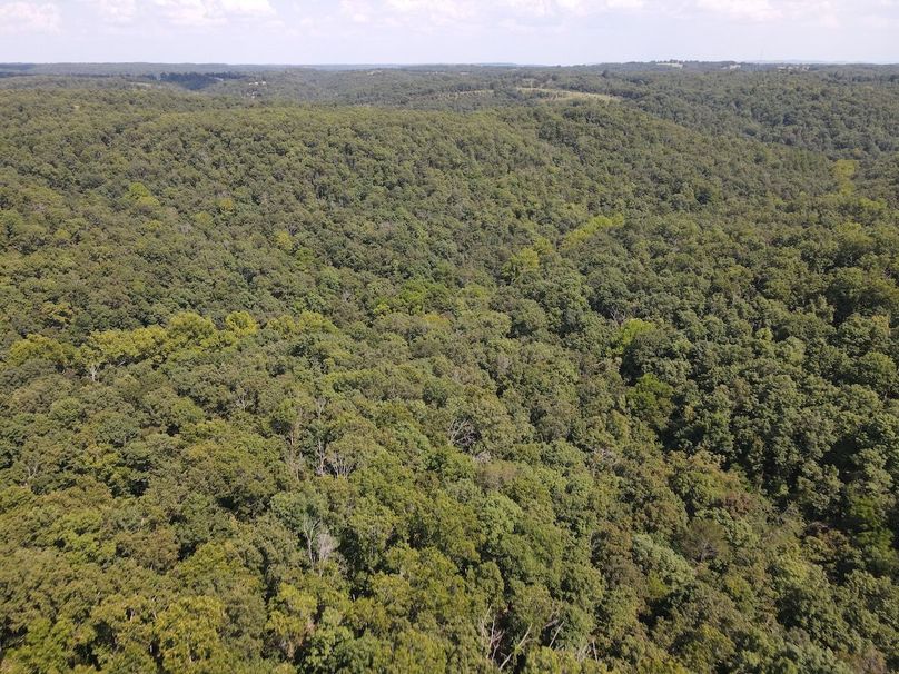 dji_fly_20250818_150530_654_1755547540123_photo