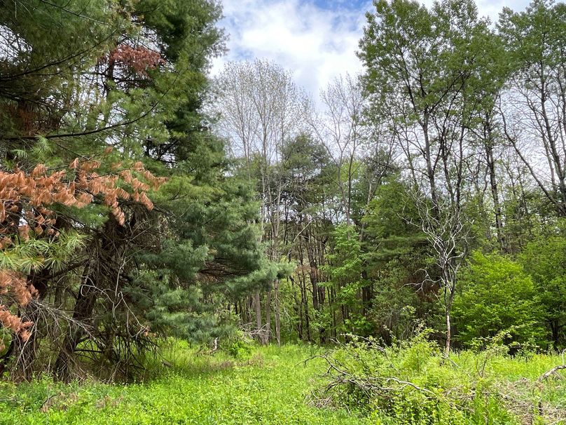 Tioga_18.72_Coulson Photo 6