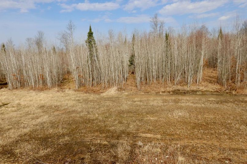 Copy of Copy of IMG_0536