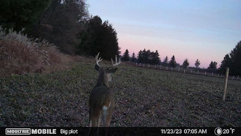 Temp_731813-20231123130631-20231123070553_005001