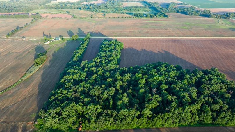 Copy of DJI_20250703172725_0029_D