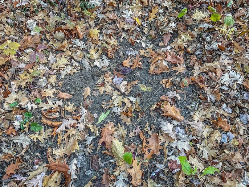 Portage 150.81 JMJK Prop-05