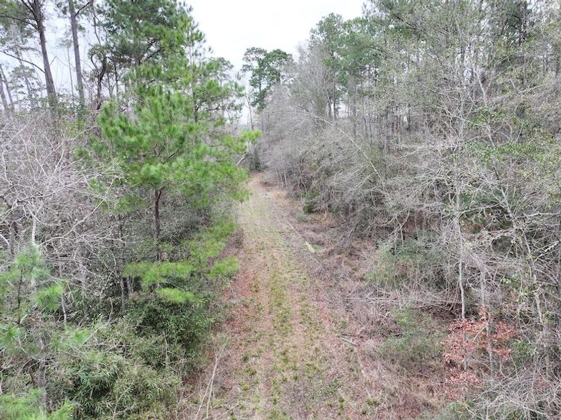 dji_fly_20260123_131638_0937_1769444775180_photo