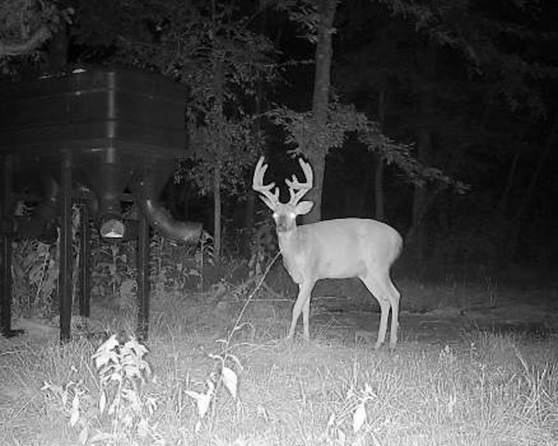 Copy of 865814040776260-90-4-08062024211704-W1002653